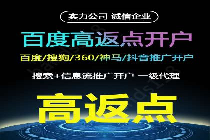 案例分析：百度竞价托管助力行业龙头