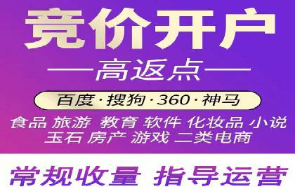 某行业SEM竞价专员的成功策略与经典案例